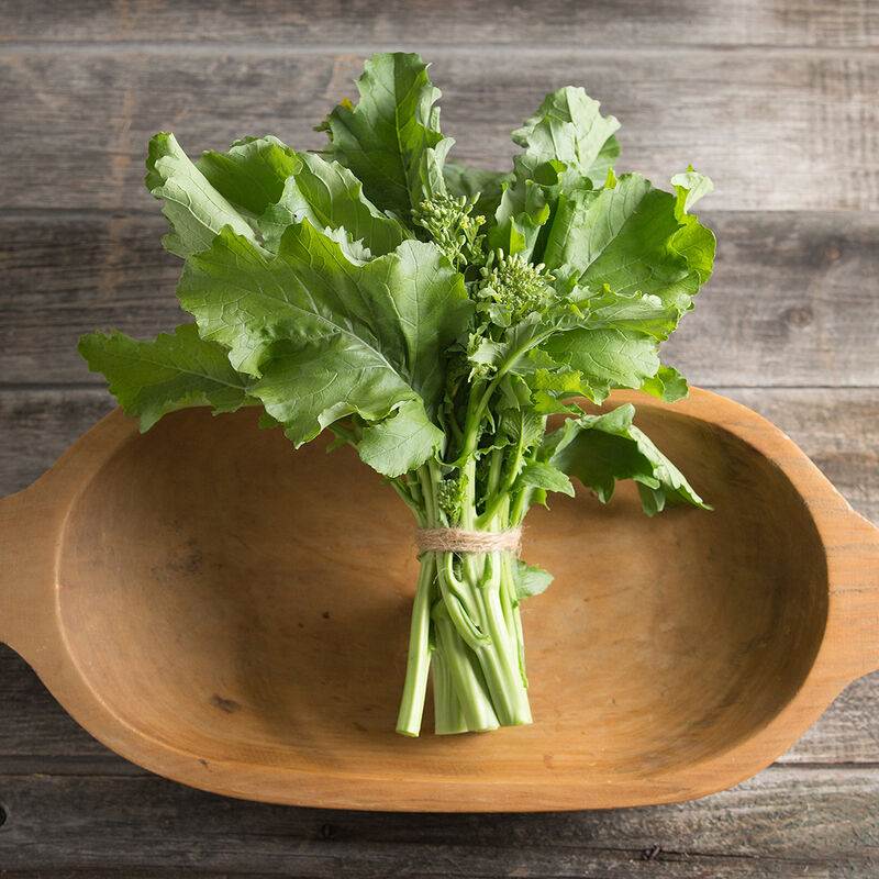 Spring Raab Broccoli – Best for Main-Season Crops, Most Versatile Broccoli Raab