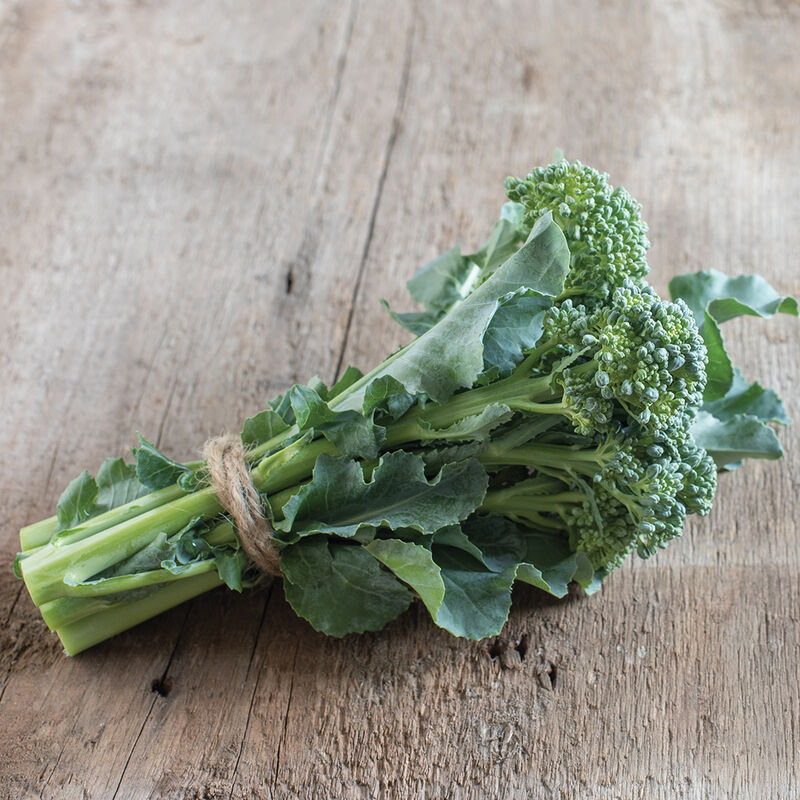 De Cicco Organic Broccoli – Favorite Multi-Cut Italian Heirloom