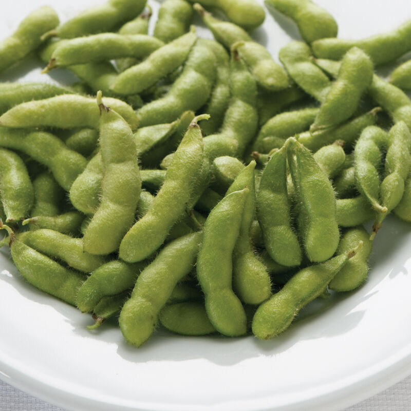 Tohya Soybean – Early with Delicious Buttery Flavor