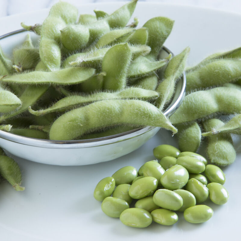Tohya Soybean – Early with Delicious Buttery Flavor