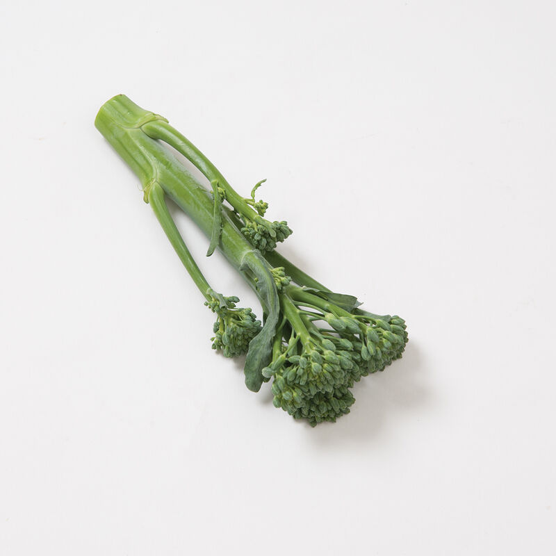 Happy Rich (F1) Broccoli – The Solution for Successful Summer Broccoli Production