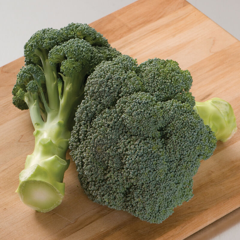 Imperial (F1) Broccoli – Excellent Heat Tolerance for Summer & Early Fall