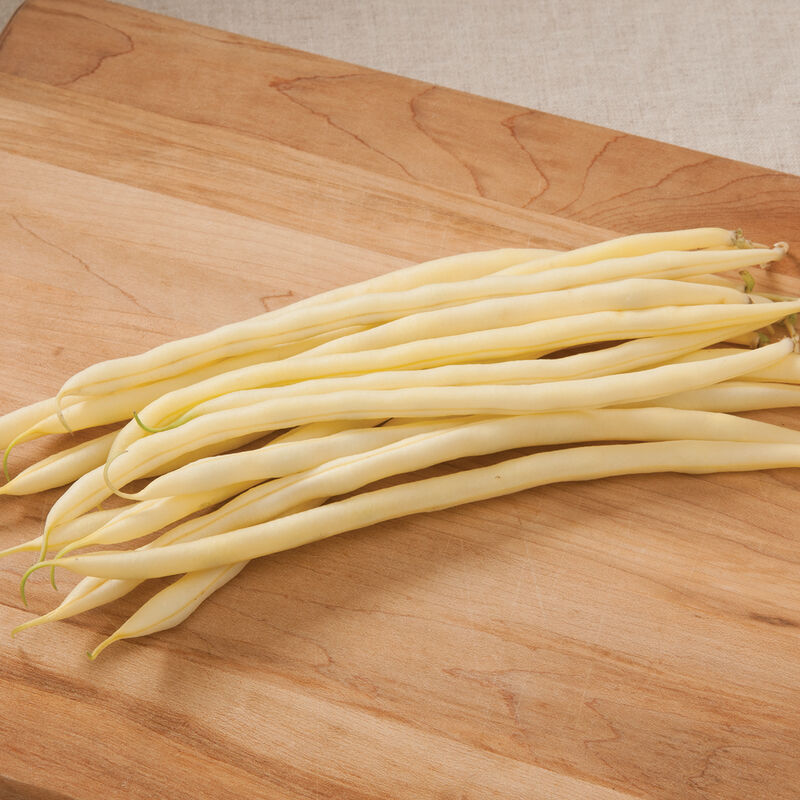 Monte Gusto Bean – Smooth Bright Yellow Wax Pole Bean