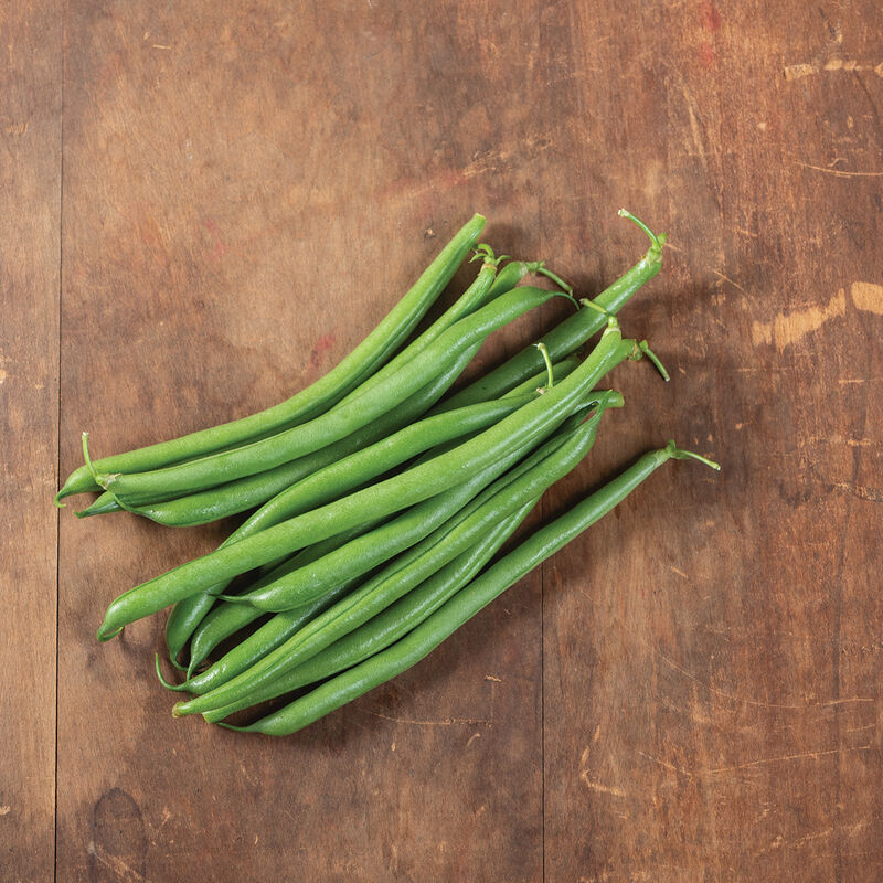 Affirmed Bean – Excellent for Machine or Hand Harvest