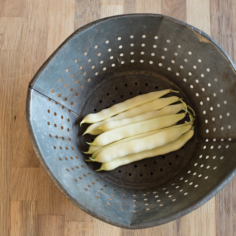 Capitano Bean – Beautiful Pale Yellow Flat Pods