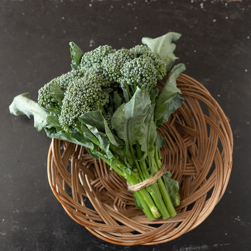 BC1611 (F1) Broccoli – Easy, Attractive Bunches, Long Tender Stems