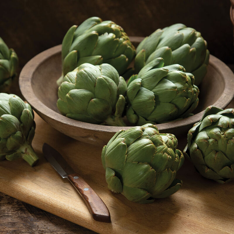  Organic Artichoke – Green Standard (Improved Variety)