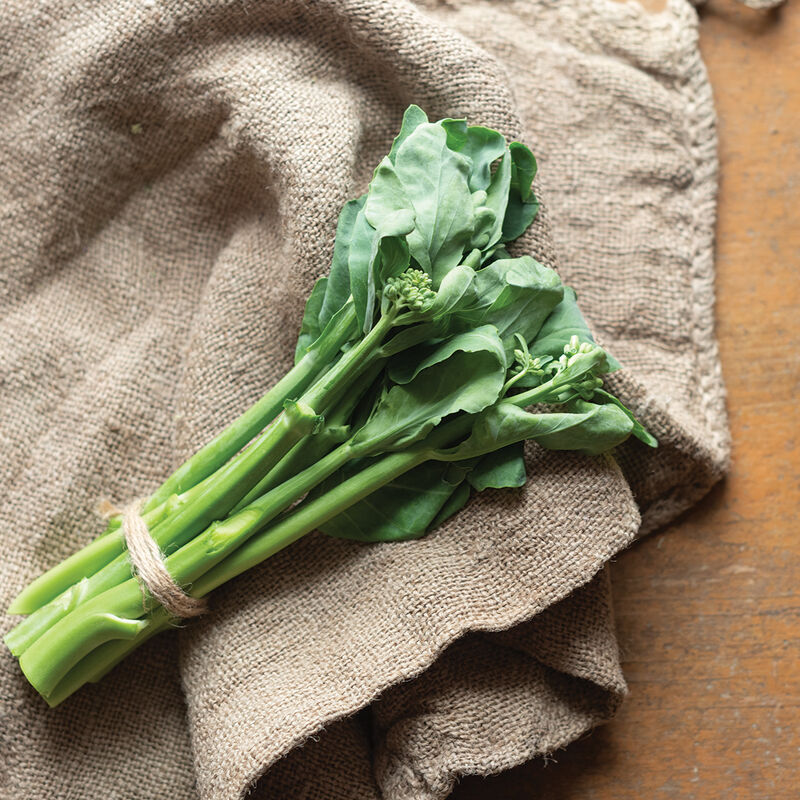 Melody (F1) Broccoli – Exclusive! Our Most Tender, Flavorful Mini Broccoli