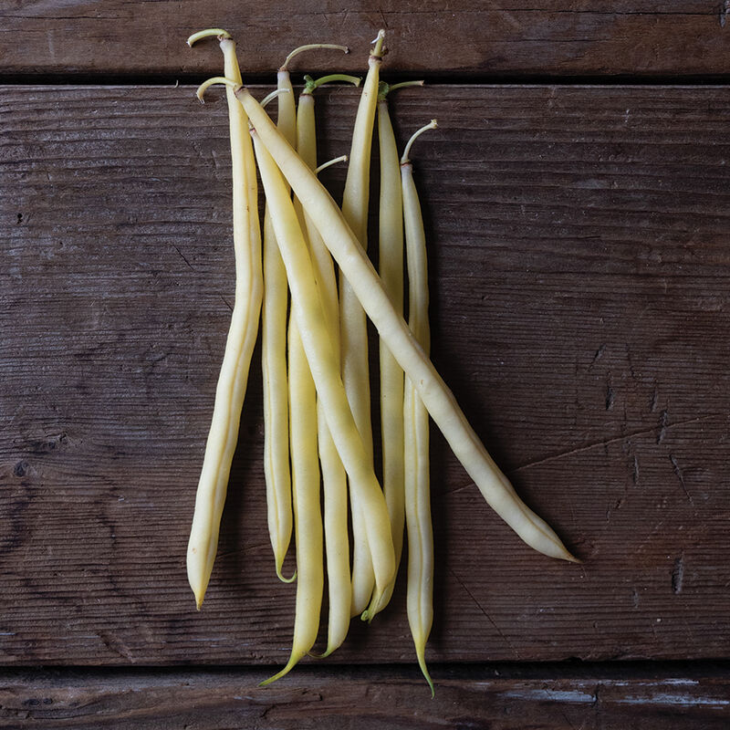 Bamako Bean – Bright Yellow Filet Bean