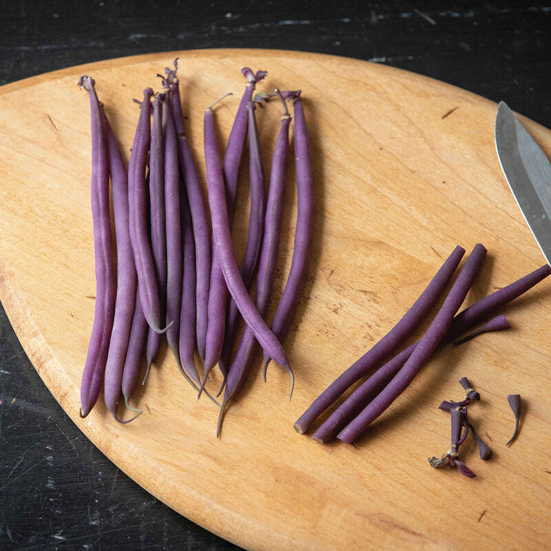 Celine Organic Bean – Gorgeous Lavender Wax Filet Bean