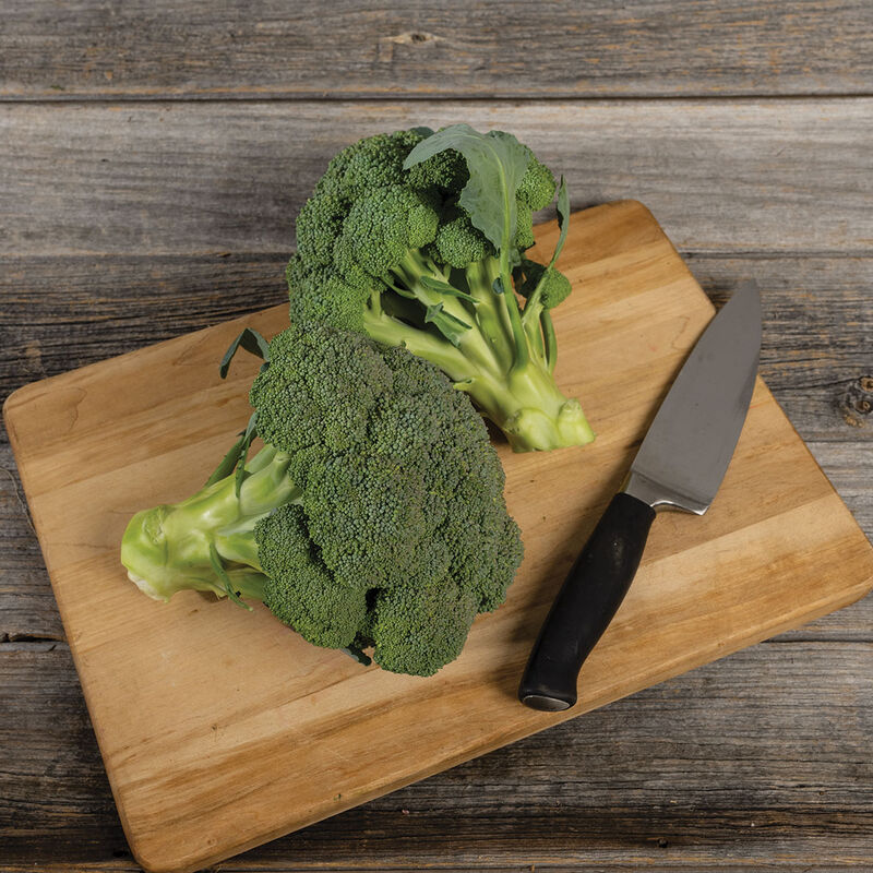 Monty (F1) Broccoli – Superior Heat Tolerance, Attractive Well-Domed Heads
