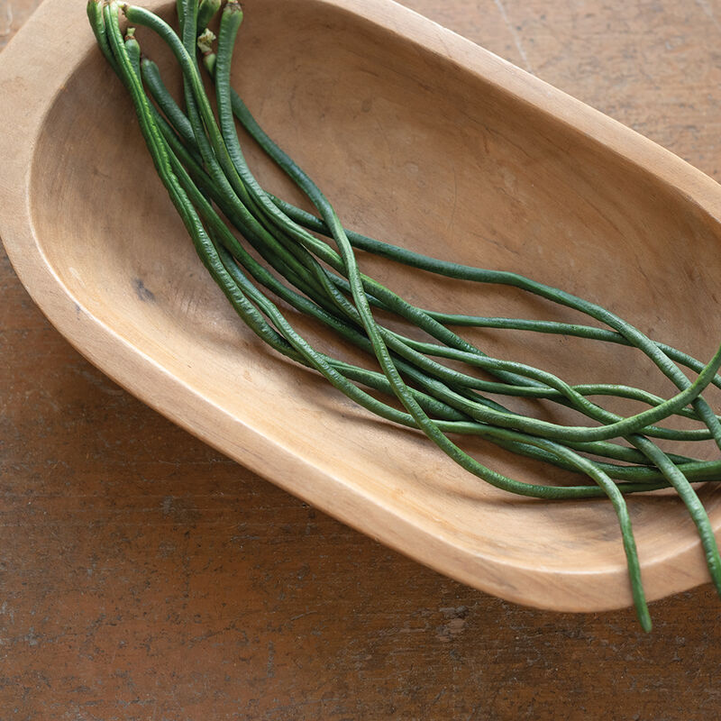 Python Bean – Productive Asian Specialty Long Bean