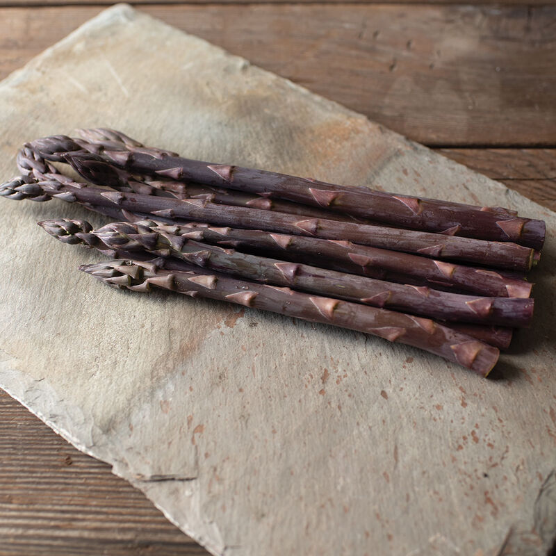 Erasmus (F1) Asparagus – Outstanding Purple Asparagus from Seeds