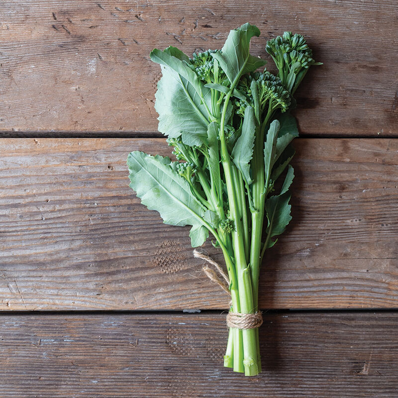 Bella Verde (F1) Broccoli – High Yields & Excellent Flavor