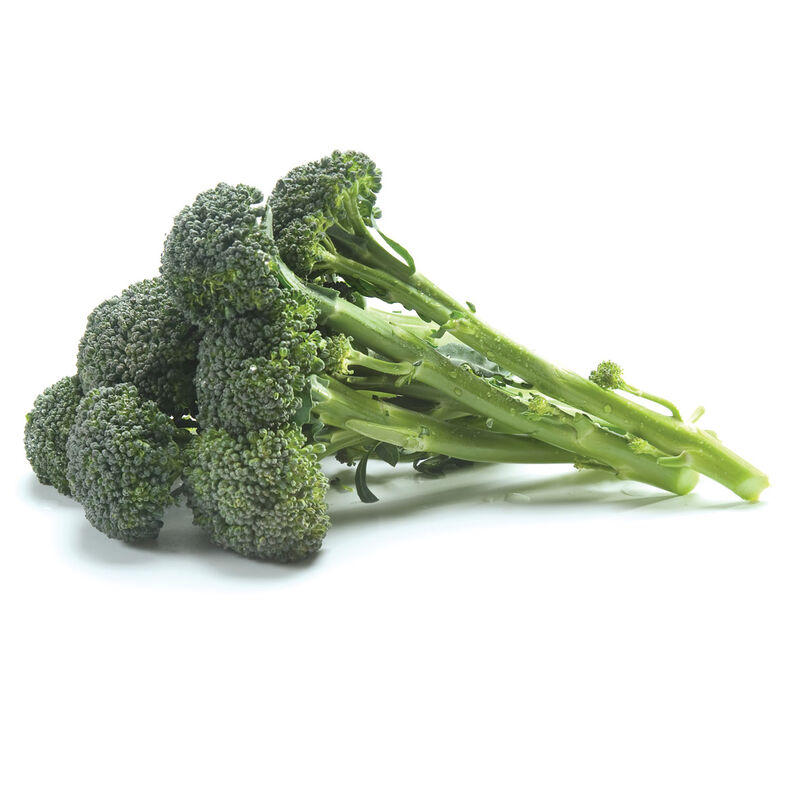 Sibsey (F1) Broccoli – Easy Bunching, Long Stems & High Yield Potential
