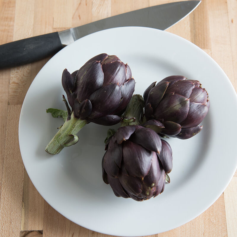 Colorado Star Artichoke – Early Maturing Purple Annual