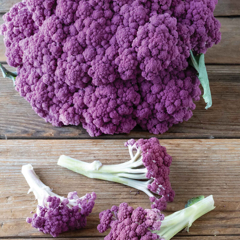 Murasaki Fioretto 70 (F1) Sprouting Cauliflower – Stunning Purple Florets, 2025 AAS Winner