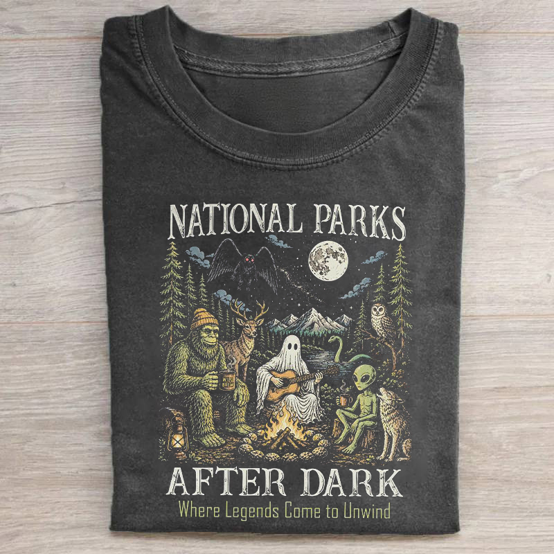 National Parks After Dark T-shirt