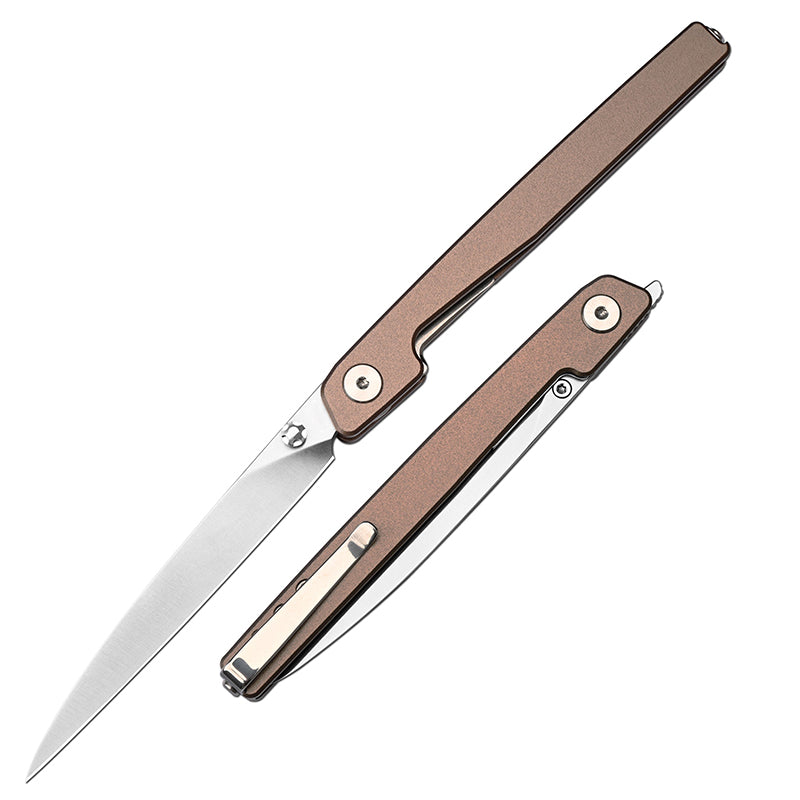 🔥Last Day Sale 50% OFF🎉 - Lanky Liner Lock Front Flipper Knife Black Aluminum Handle