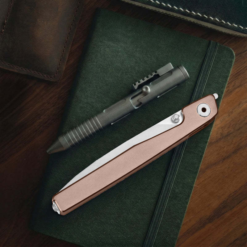 🔥Last Day Sale 50% OFF🎉 - Lanky Liner Lock Front Flipper Knife Black Aluminum Handle