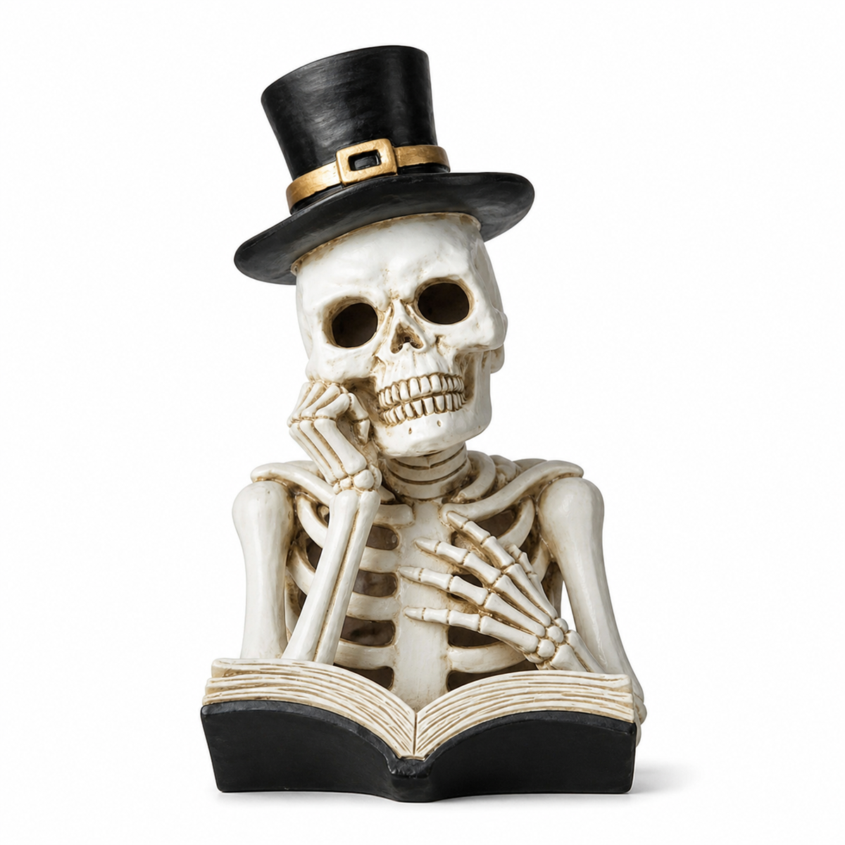 💀 Cabinet de curiosités | Squelette lecteur lumineux de 26 cm