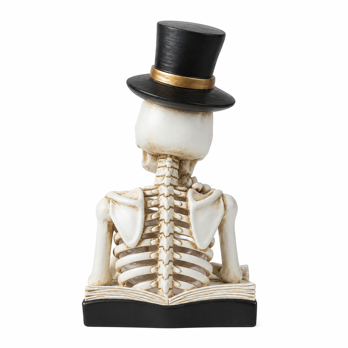 💀 Cabinet de curiosités | Squelette lecteur lumineux de 26 cm
