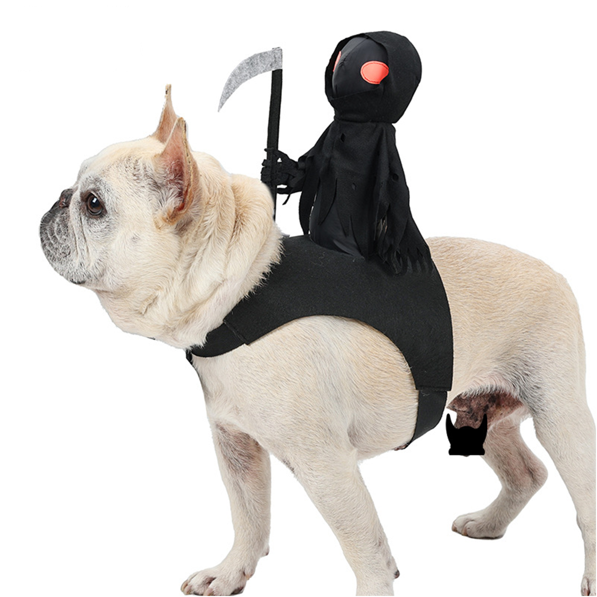 🦇 Faites prendre son envol à votre compagnon ! Costume pour animal à ailes de chauve-souris noires 🎃
