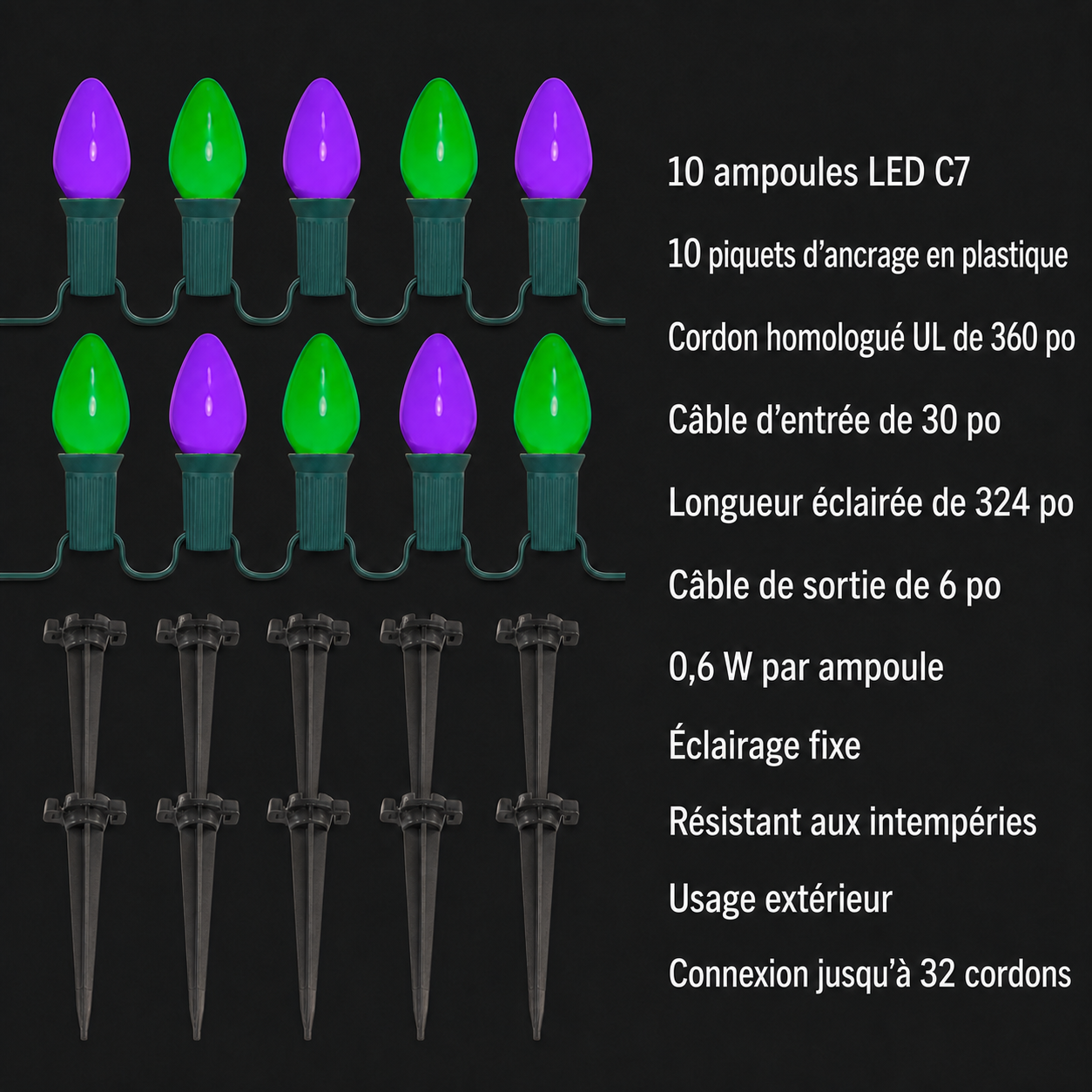 ✨ Balisez la nuit | 10 lumières LED violettes et vertes - présentation 9