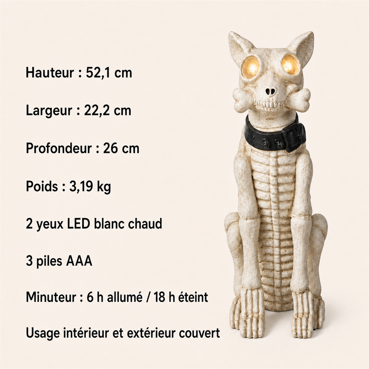 Dimensions et caractéristiques du chien squelette lumineux