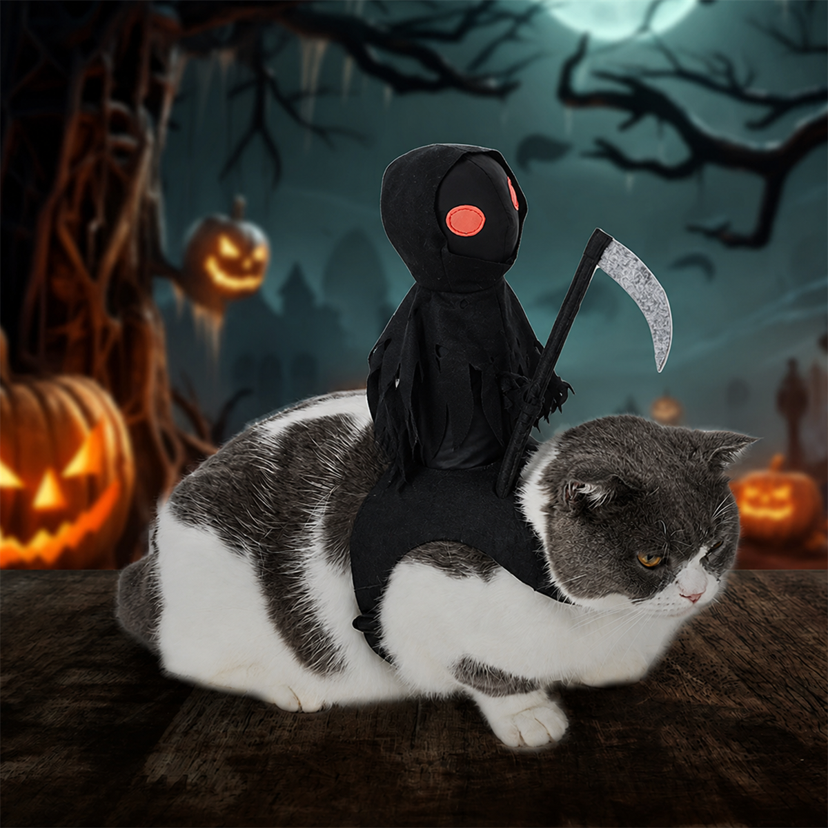 🦇 Faites prendre son envol à votre compagnon ! Costume pour animal à ailes de chauve-souris noires 🎃
