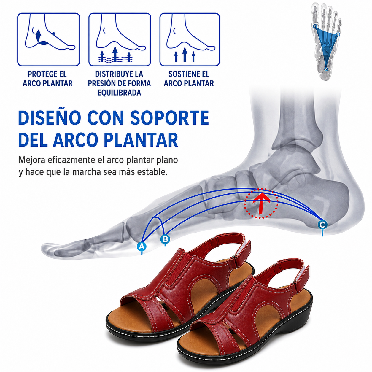 Diseño de soporte del arco plantar con las sandalias rojas