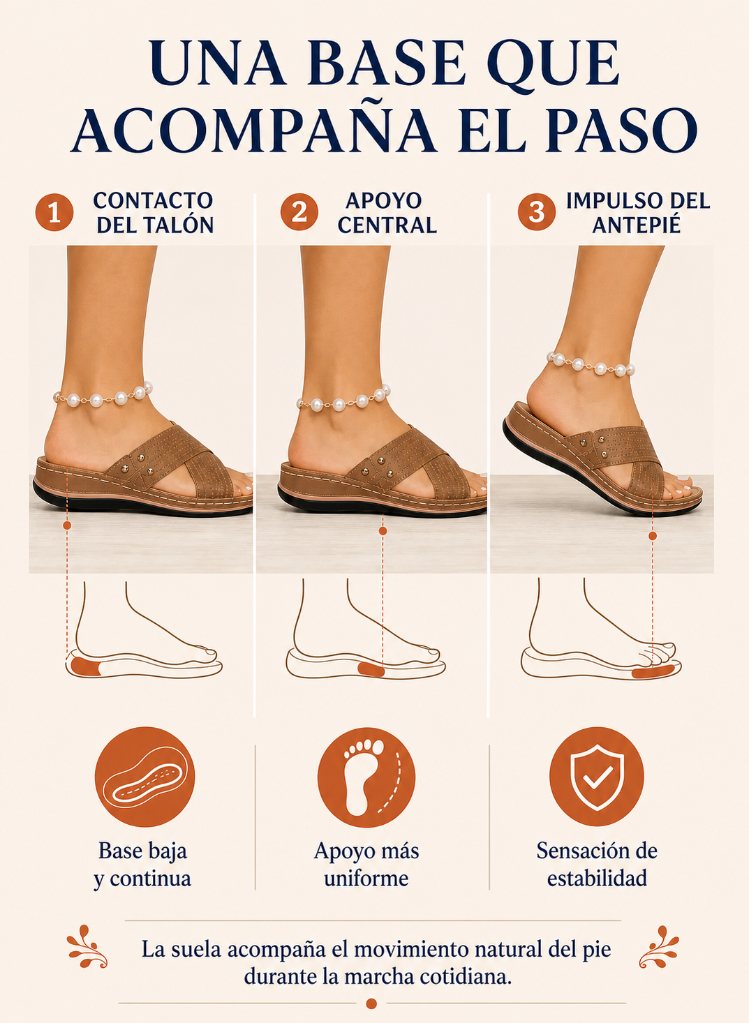 Contact du talon, appui central et propulsion de l&rsquo;avant-pied