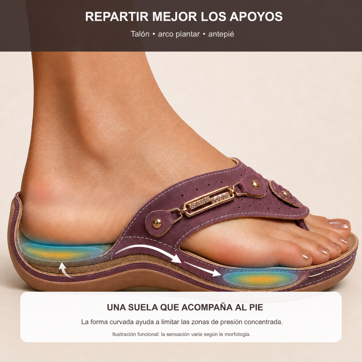 R&eacute;partition des appuis du talon &agrave; l&rsquo;avant-pied