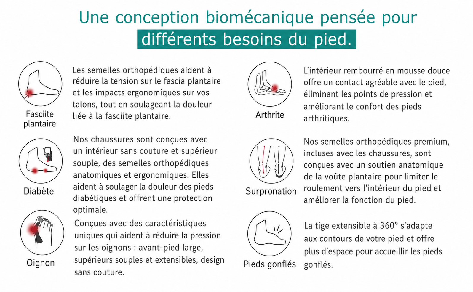 Vue et détails du produit
