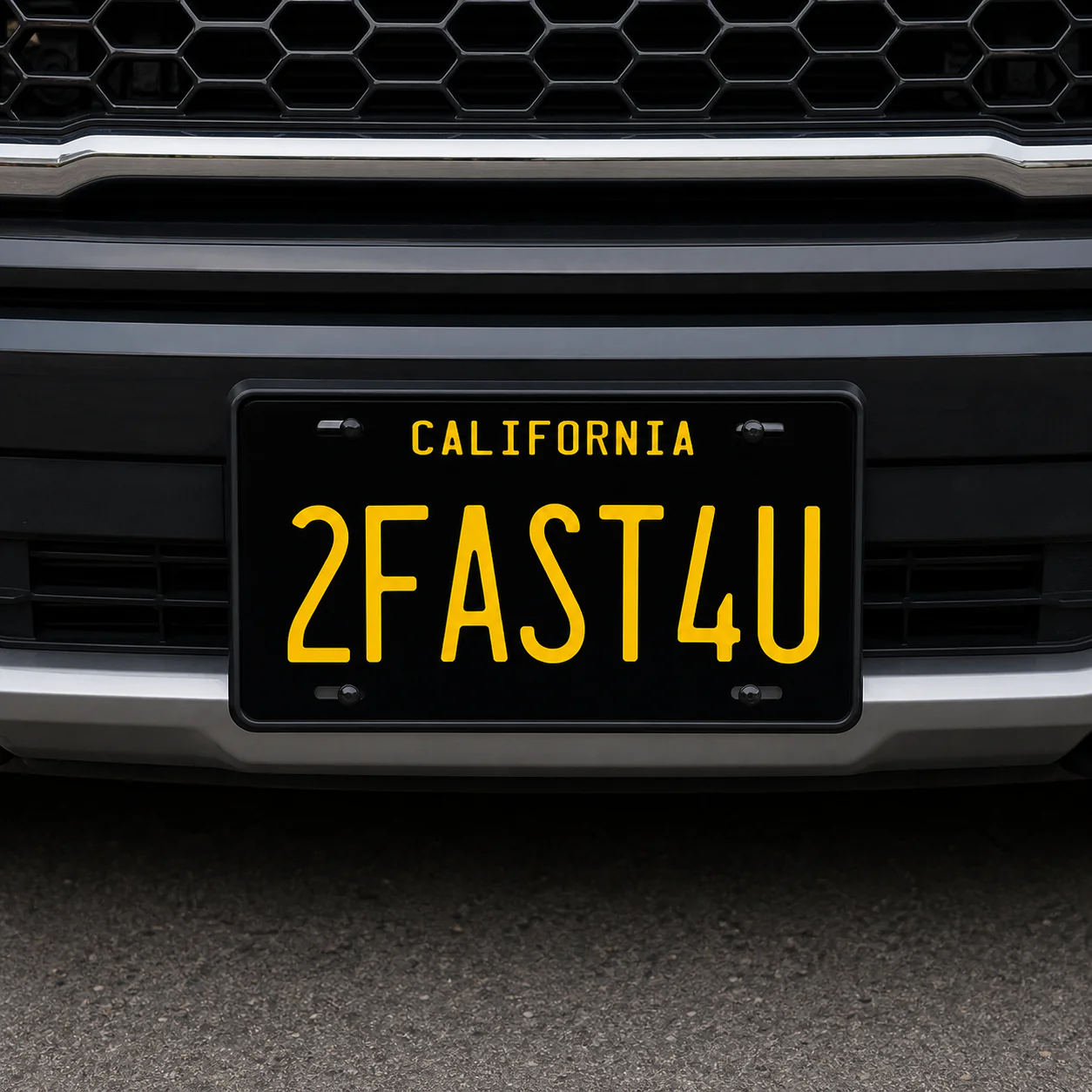 6" X 12" Full Size License Plates
