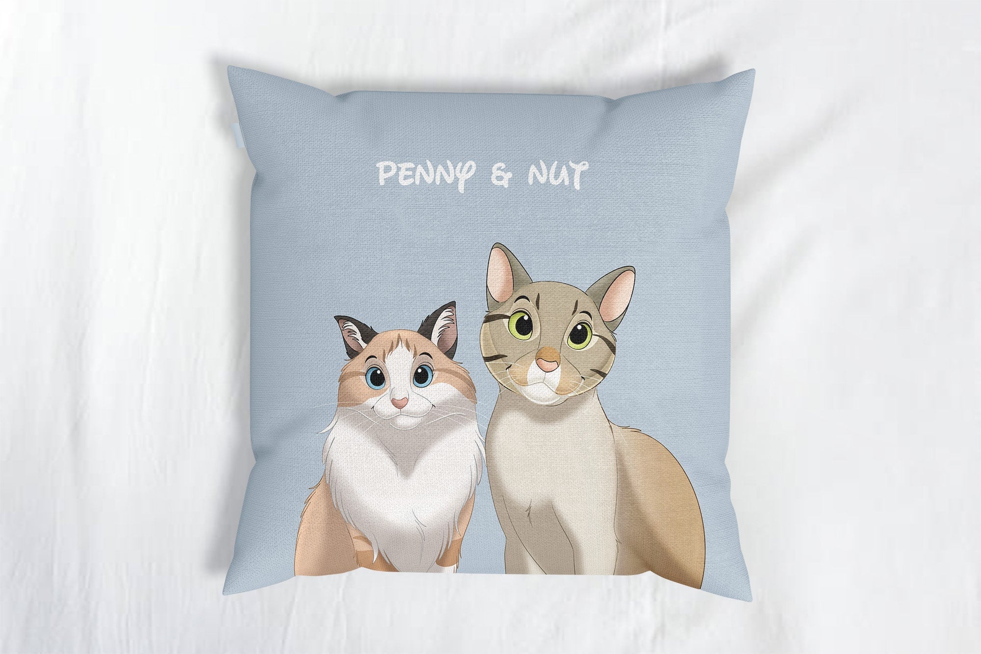 Custom Cartoon Two Pets Portrait Throw Pillows