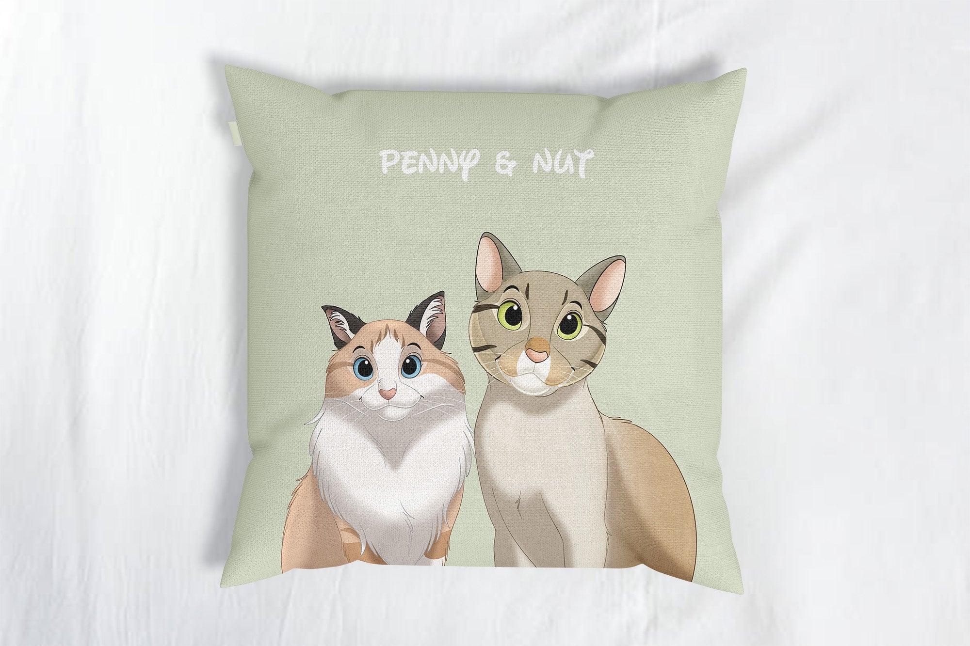 Custom Cartoon Two Pets Portrait Throw Pillows