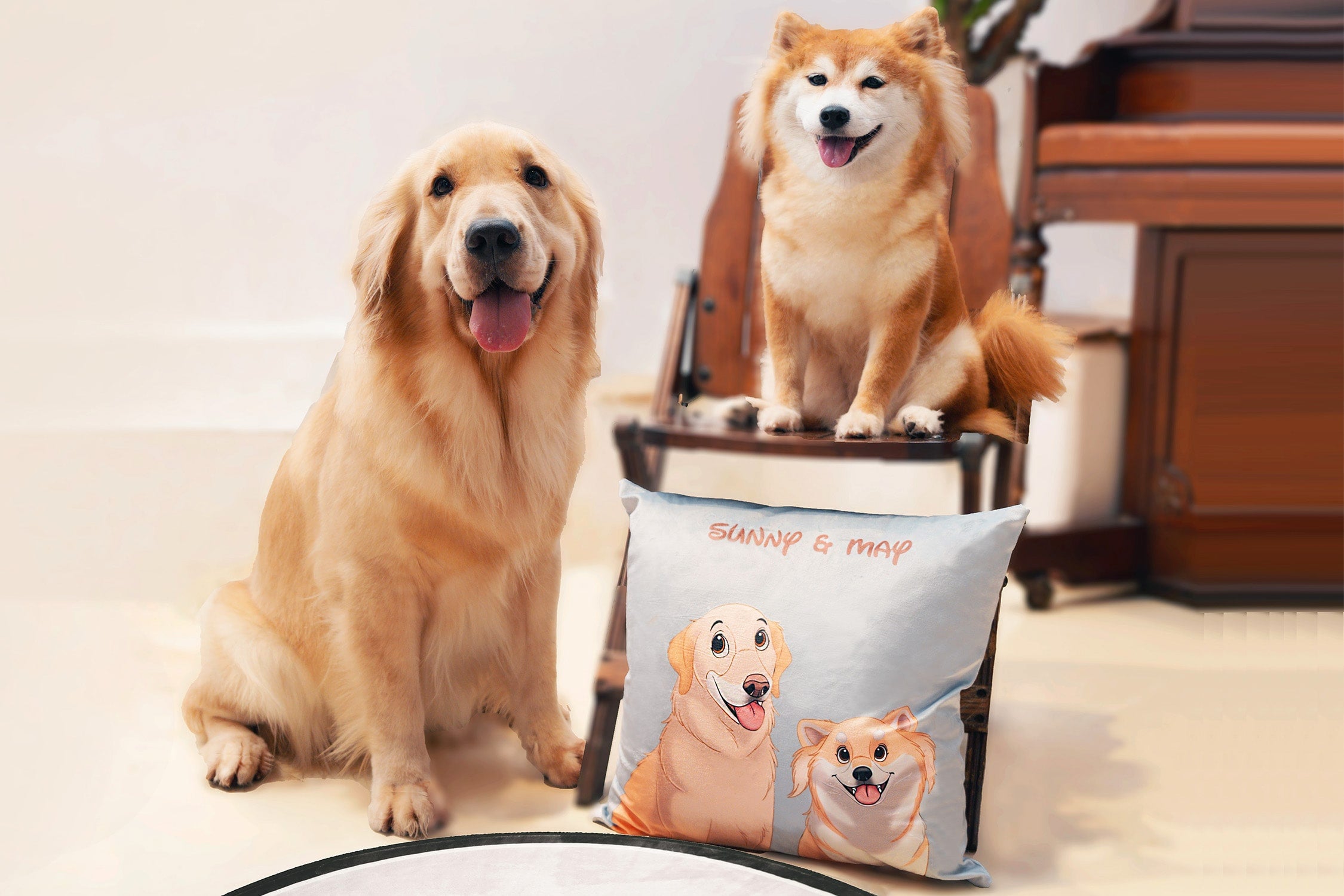 Custom Cartoon Two Pets Portrait Throw Pillows