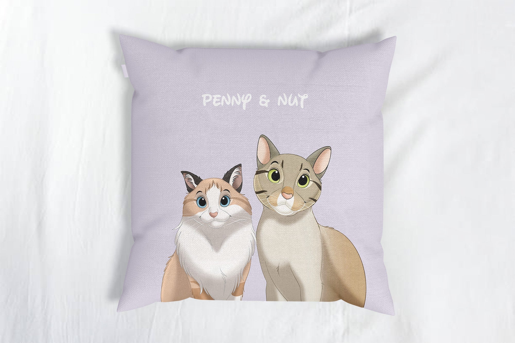 Custom Cartoon Two Pets Portrait Throw Pillows