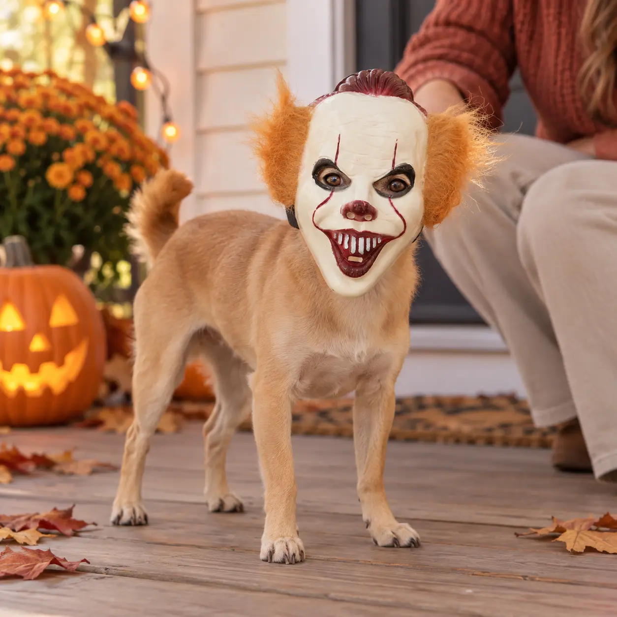 Spooky Halloween Dog Mask