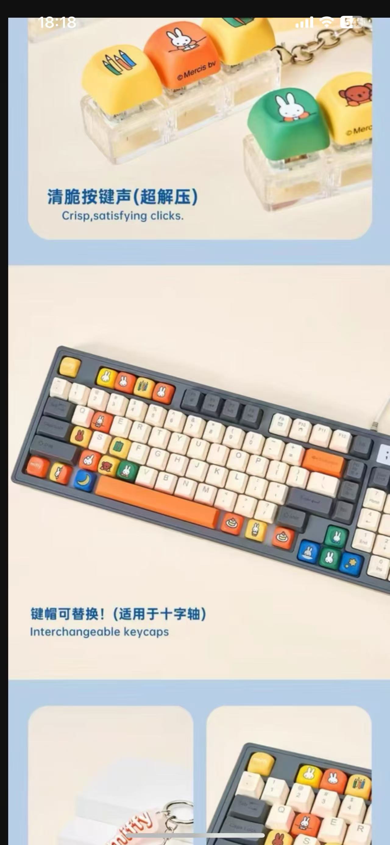 Miffy Blind Box Keycap Keychain
