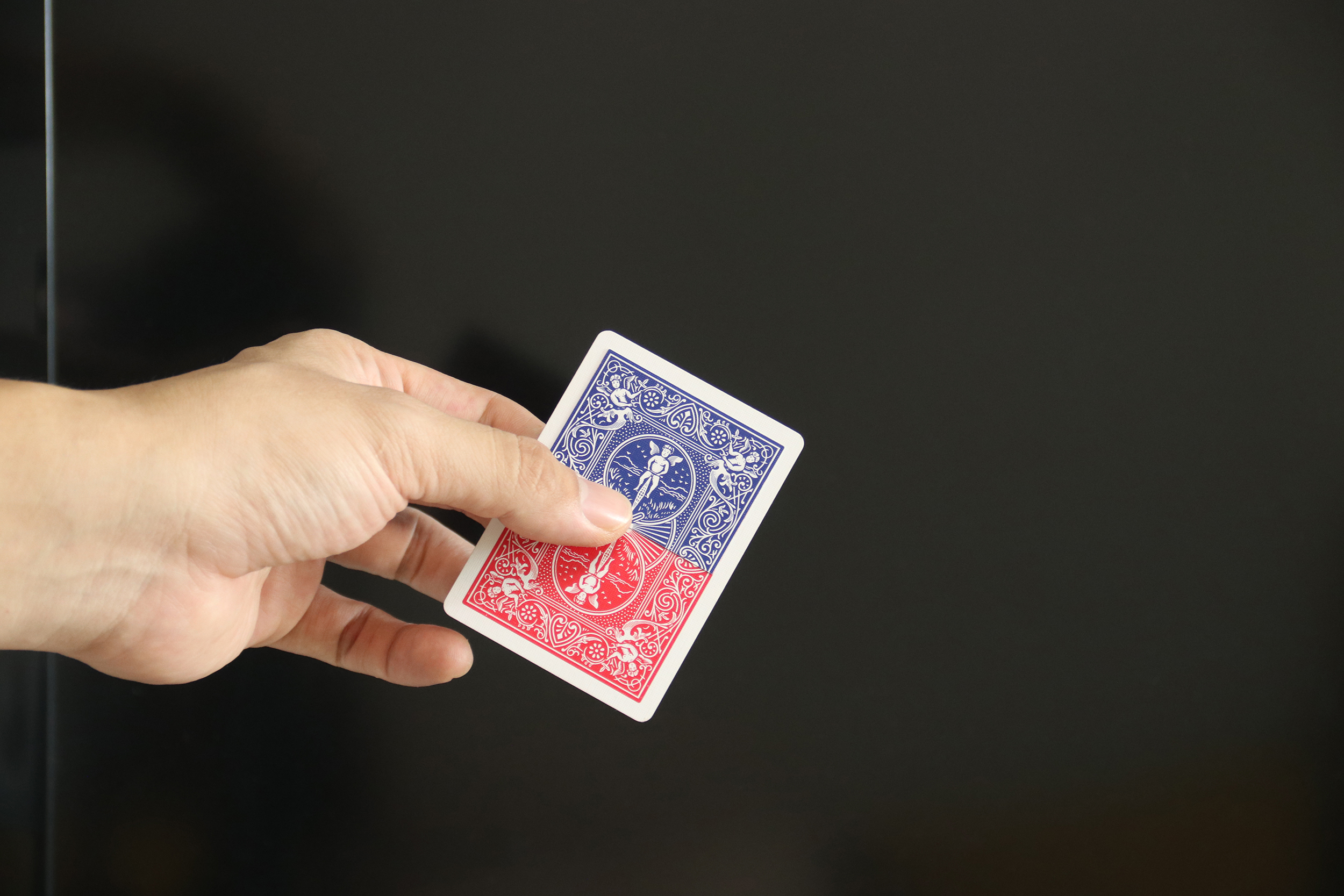 Trace of Cards by WZ