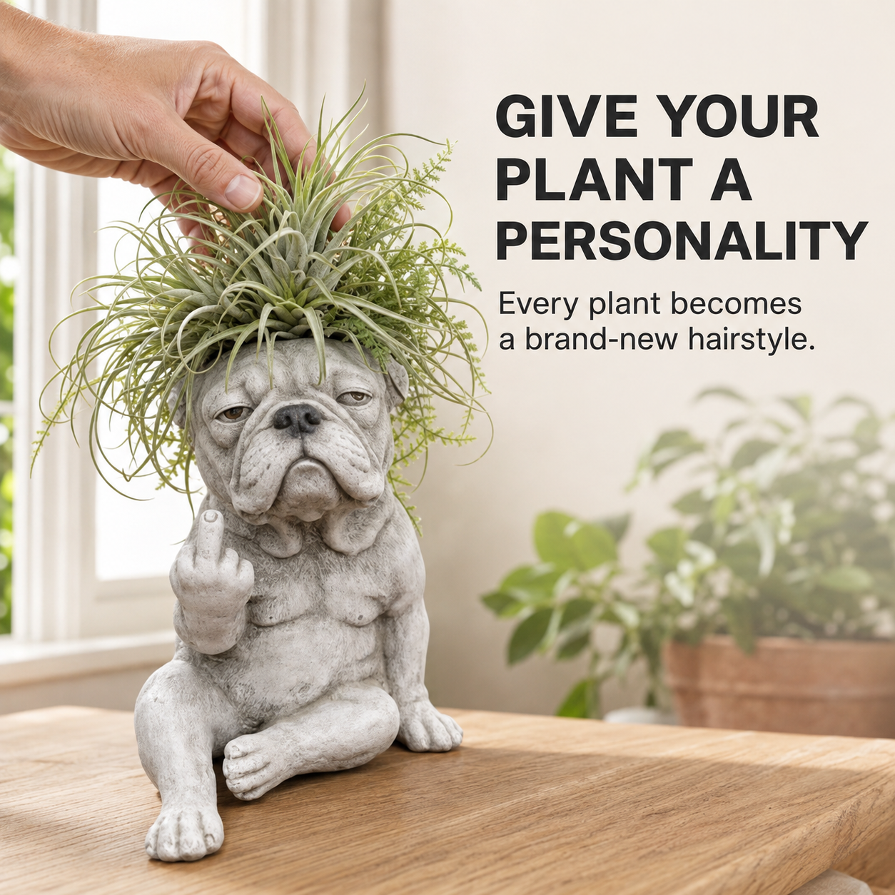 Sassy Frenchie Planter