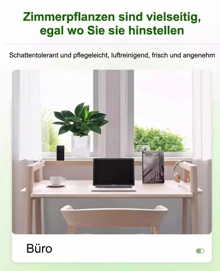 详情图_9.png
