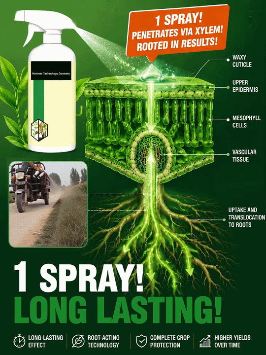 🌿 Nano‑Root Destroyer Weed Killer | Nano Micro‑Molecule Penetrating Weed Root Dissolver