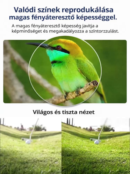 Állítható Kozmetikai Mosoly-készlet | Természetes Hatás 5 Perc Alatt | -50% MA