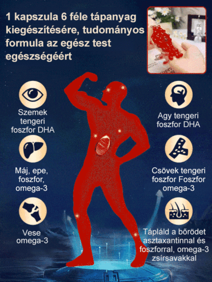 Antarktiszi Krillolaj Étrend-kiegészítő – Értékcsomag Akció (Korlátozott Készlet)