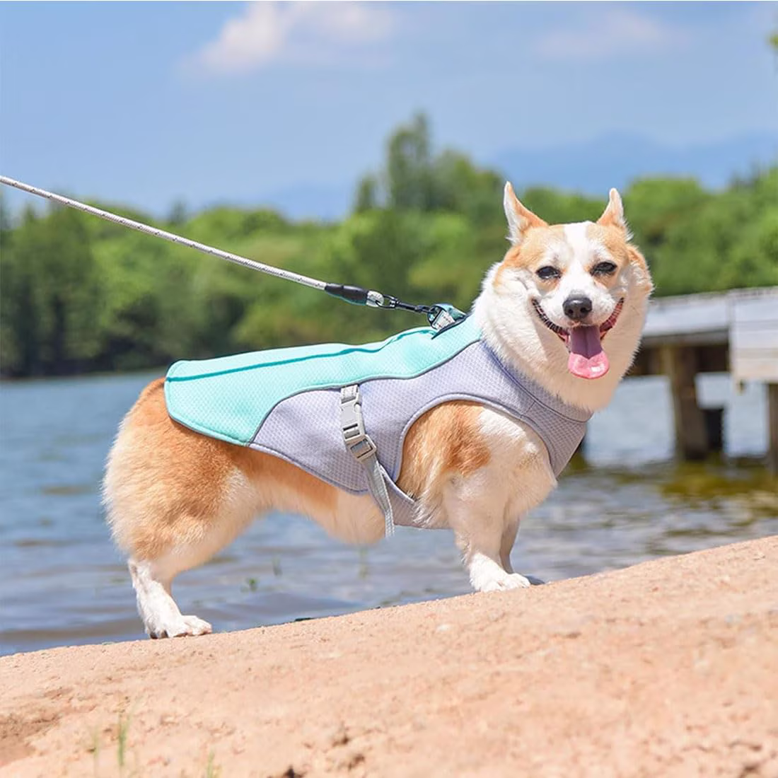 Breeze Pup Cooling Vest, Pet Cooling Harness with Adjustable Straps & Easy On Off Buckle, Lightweight Breathable, for All Kinds of Dogs Summer Walking Hiking Training