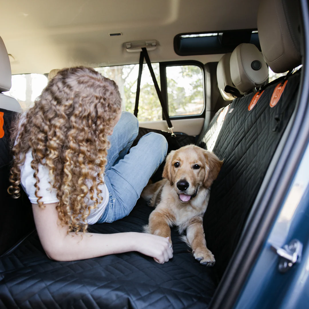 Marlo&CoTMDogSeat Cover