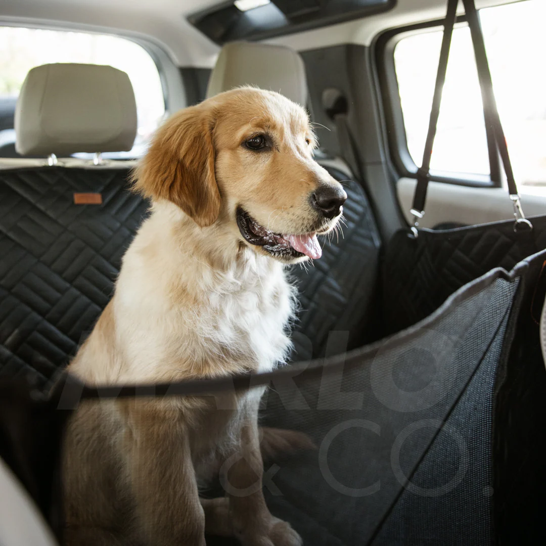 Marlo&CoTMDogSeat Cover